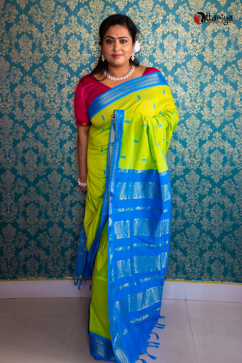 Parrot Kanchi Saree