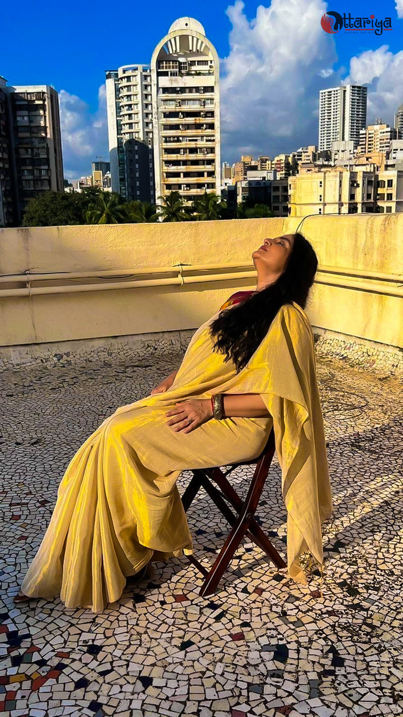 White gold Makhmal Saree