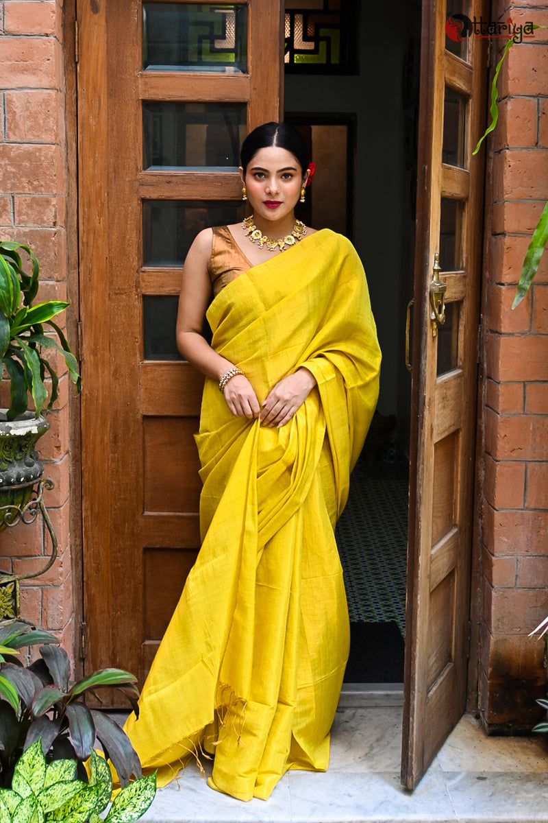 Golden Mulberry Saree